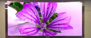 連鎖火鍋店老板哭訴：門頭LED廣告機讓我多賺了110萬，但千萬別學我踩這3個坑！”