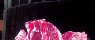 led屏為什么會(huì)流行起來(lái)？都有什么特點(diǎn)？