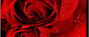  小間距LED屏的像素這么密，是怎么做到不出現(xiàn)顏色偏差的呀？